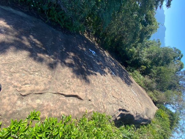 桃園大溪-打鐵寮古道-白石山2612654