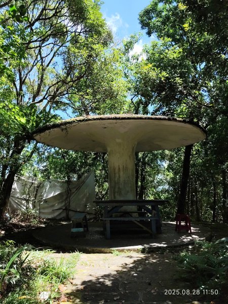 【臺北大縱走 4】大崙頭山北面步道→五指山古道→雙溪溝古道2874367