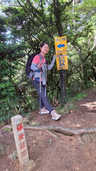 加里山P縱202506222818644