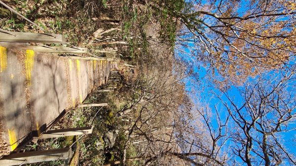 濟州島漢拏山-靈室路線上2942635