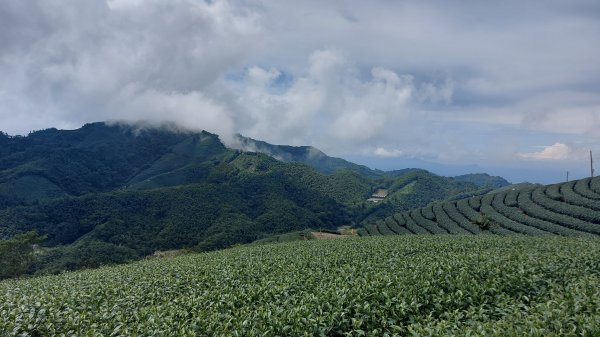 雲嘉九連峰1438961