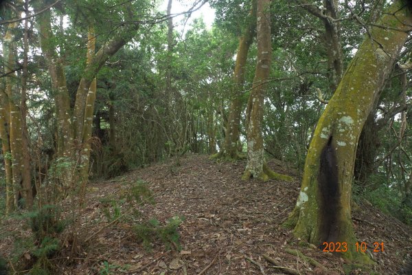 南投 烏來山、南阿冷山、中阿冷山、阿冷山東南峰2325528