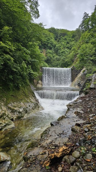 240814-白神山地世界自然遺產地域。美美兔不能錯過的日本東北健行路線。2603899