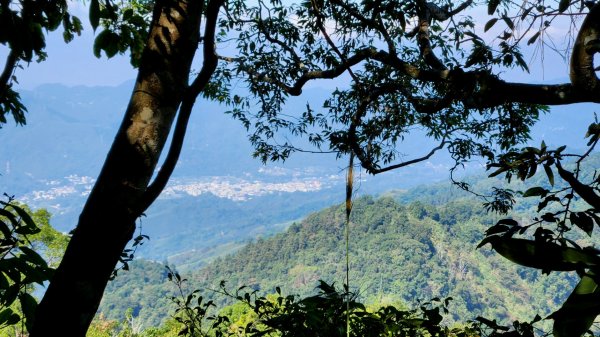 苗栗馬那邦山，飛鳳山大板根，石壁潭山，觀日坪古道，台中三汀山，鐵砧山，后豐鐵馬道，彰化八卦山天空步道1908324