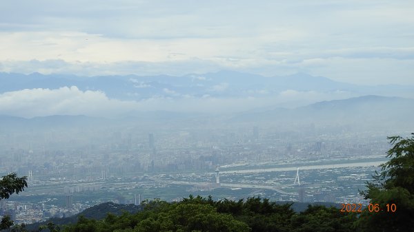 雲山水花鳥蝶 - 雲霧飄渺間的101大樓也是天空之城 ?1731819