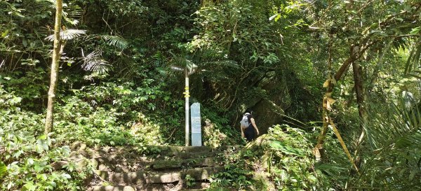 馬胎古道一二期-2026/05/163056521