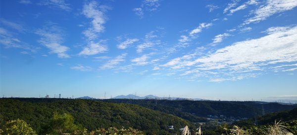 2025/11/30-桃園虎頭山步道O型2949554