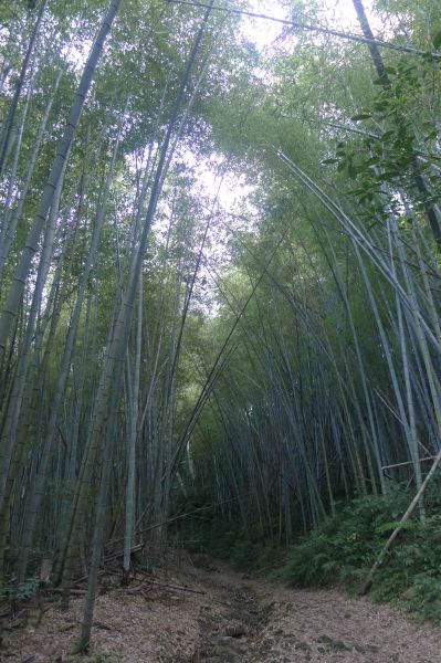 志繼山、東眼山、拉卡山O型環走401747