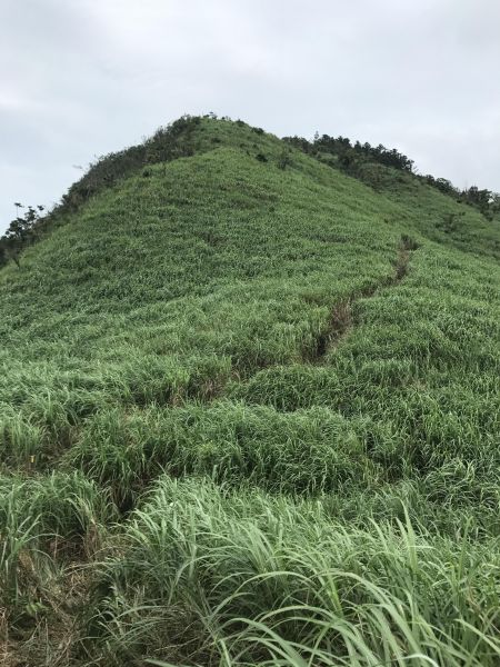 鵲子山138131