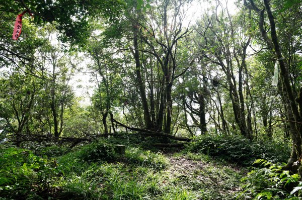 新北 烏來 下阿玉山2821615