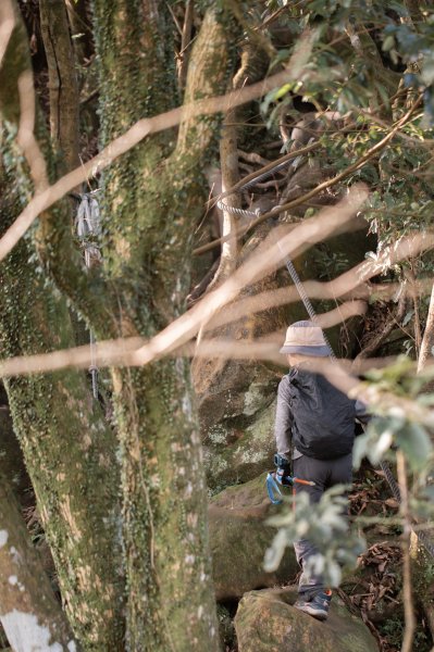 微笑山線 筆架連峰段段｜健行筆記尋寶任務2824783