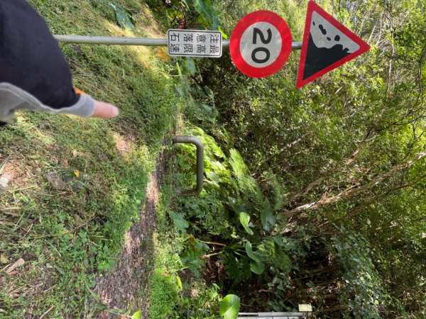 烏來阿玉溪山/西坑林道/探勘派出護管所彈藥庫遺址至獅坑橋2581991