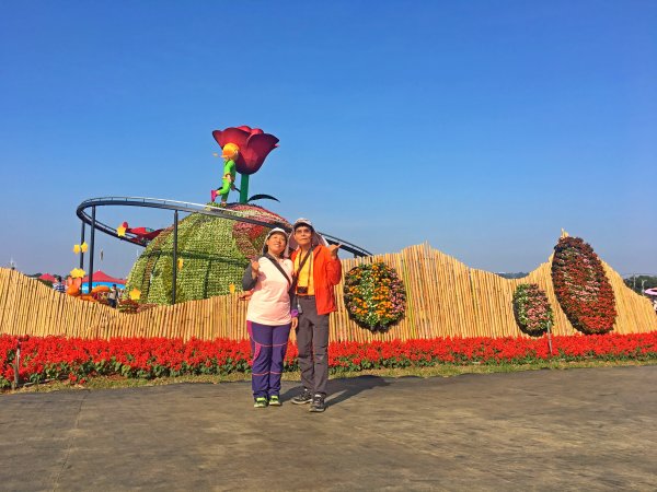 2019新社花海2019/11/12734654