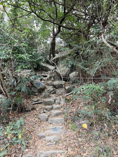 小百岳-里龍山2752579