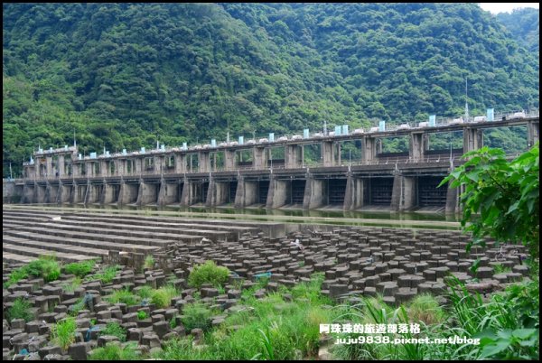 大溪左岸自行車道｜中新里韭菜花海超浪漫｜1101566