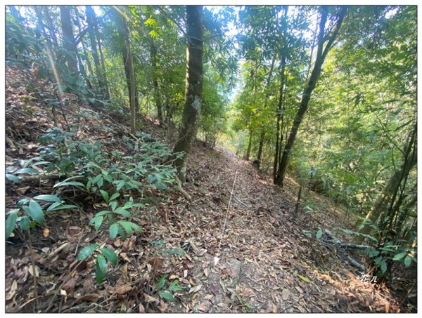 巴幸山、打鐵坑山、稍來坑山、和平14基石連走3018106