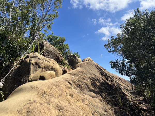 [微笑山線_第九段] 2025_0914 二格山系_皇帝殿東峰2889487