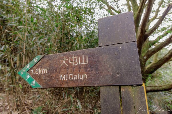 [台北]大屯山2693386