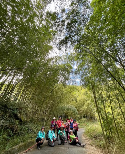 【雲嘉茶園之美】後棟山連走大二尖山1532236