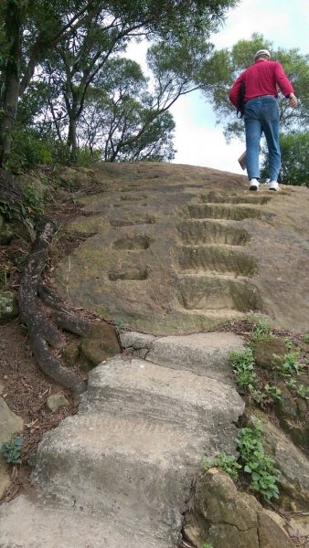 鶯歌登山步道426341