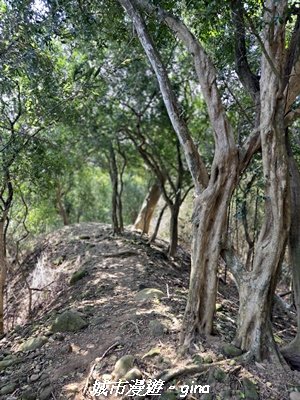 【苗栗頭屋】墨硯山步道3011351