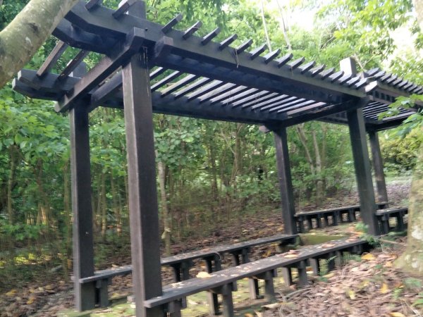 赤水崎公園+田中森林登山步道1428348