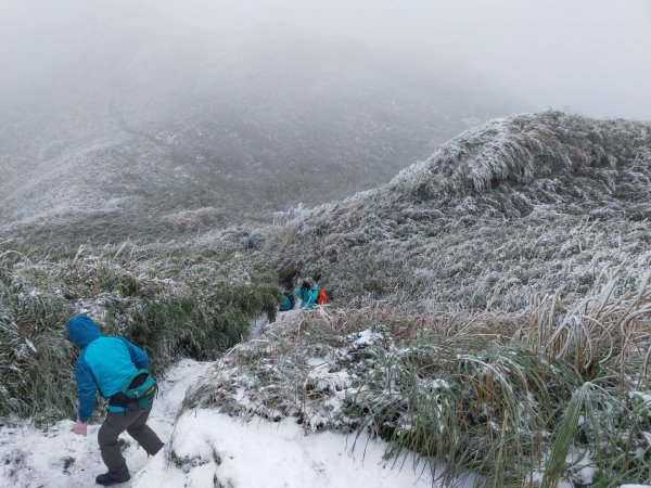 真假！七星山下雪1235069