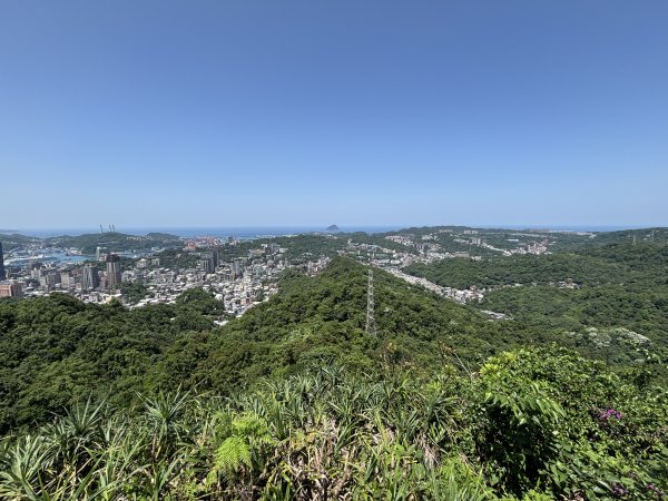 紅淡山3043544