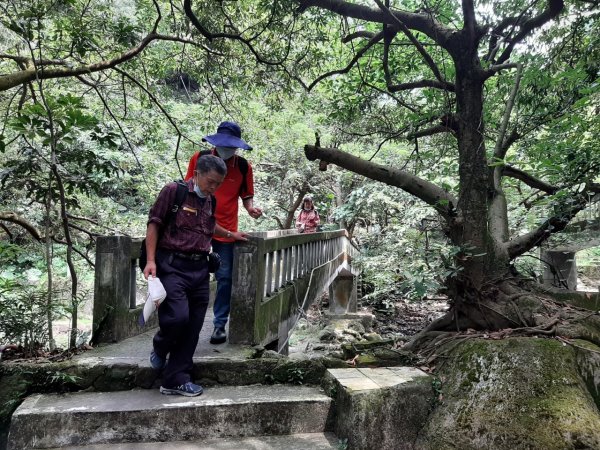 天母→猴洞→湖山→半嶺→第二展望台→龍鳳谷→民族公園→花博公園1445770