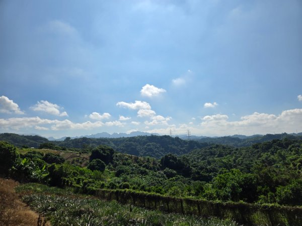 阿罩霧山、中心瓏步道（小百岳）2615695