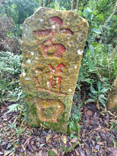 鳳鳴古道 鳳鳴山 南隘勇（南長城）古道 三湖山 八達嶺（龍骨）古道 綠色古道 延平古道2975228