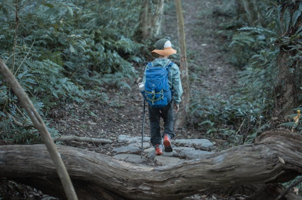 枕頭山古砲台歷史古道O型（含薑母島）2948470