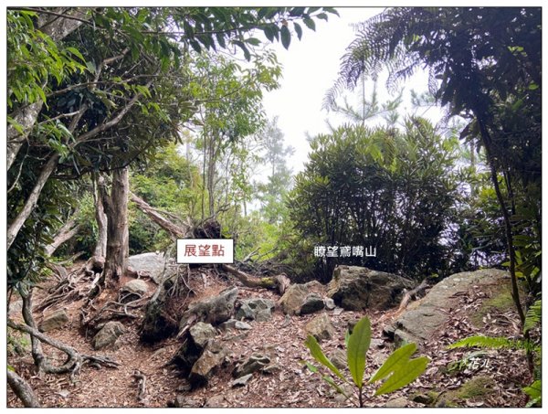 醜崠山、肥崠山(長壽山)、大崠山 三崠連走3100783