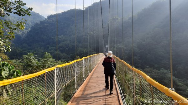 《南投》清新小旅｜瑞龍瀑布吊橋及桶頭吊橋202312022366194