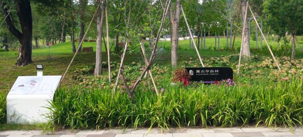 九九峰氦氣球樂園3055632