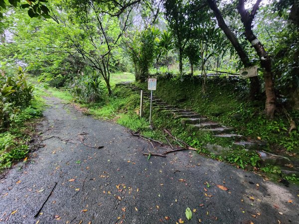 20260308柴寮古道與中坑古道3037787