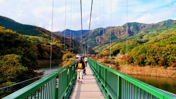 栃木縣紅葉谷大吊橋2930317