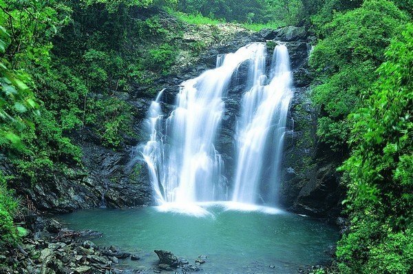 【走在台灣的脊樑上】活水之路：雙流森林步道