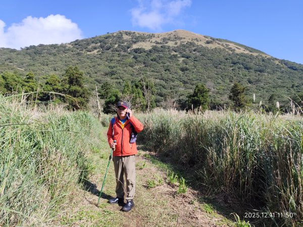 【臺北大縱走 2】【第二回合全程完成證書】鞍部→大屯山步道→大屯山主峰→大屯坪步道→二子坪步道2960404