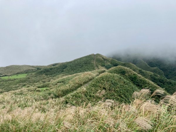 蕃薯寮山-福德山-桃源谷-灣坑頭山-草嶺古道(大溪-大里)