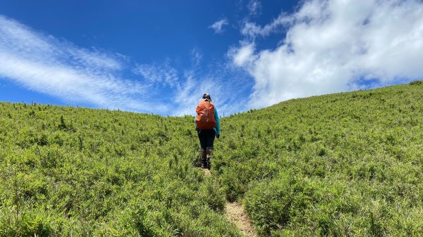 合歡北峰下小溪營地2891596