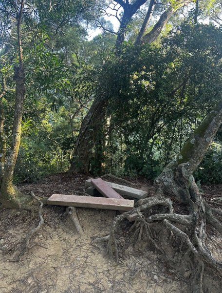 台中小百岳2911014