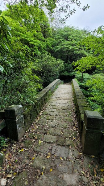 擎天崗系步道巡禮2104336