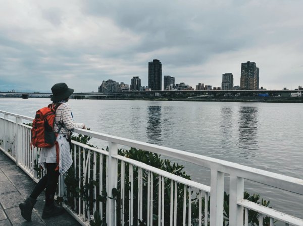 2023 臺北大縱走 8：捷運關渡站至華江雁鴨自然公園(上)2079543