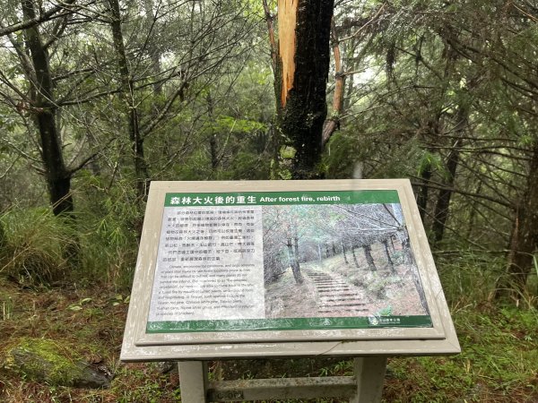 [玉山尋寶任務-02/12] 2025_0727 中之關、天池步道/南橫公路2847629