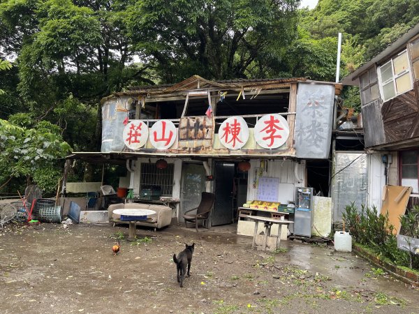 [皮皮獅探險隊-08/10] 2025_0719 李崠山步道2842960