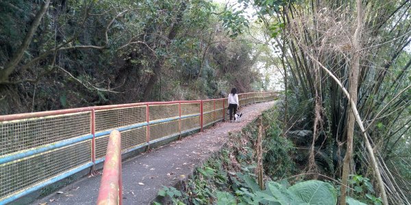 電火圳生態步道2055111