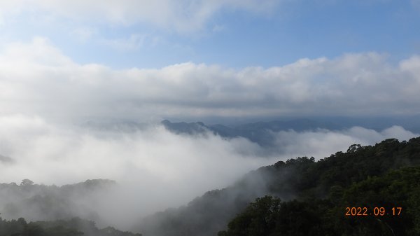 十三股山(永安社區/台北花園公墓)日出雲海&二格山白牆槓龜 9/171845181