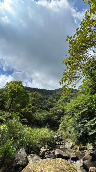 磺嘴山擎天崗草原內雙溪古道2177336