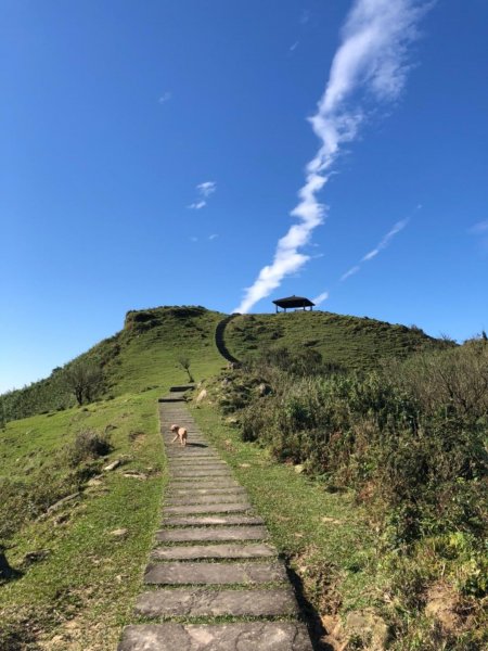 灣坑頭山草嶺古道線無敵山海美景510897